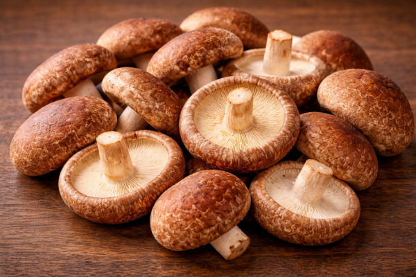 Shiitake Mushroom